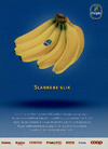 Chiquita