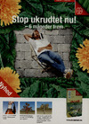Bayer