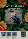 Bayer