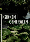 Køkken generalen