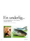En underlig…