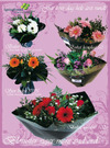 Springflower 