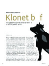 Klonte bøf 