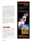 Samvirke 