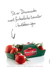 Katrine & Alfred 