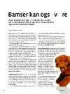 Bamser kan også være blinde 