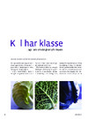 Kål har klasse 