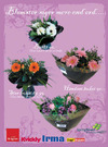 Springflowers