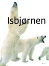 Isbjørnen skrumper 