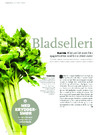 Bladselleri