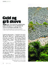 Guld og grå skove 