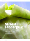 Seriøst sønderjysk 