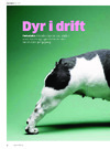 Dyr i drift 