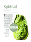 Spidskål 