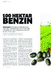 100 hektar bezin 