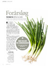 Forårsløg 