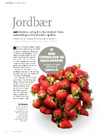 Jordbær 