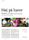 Høj på haver 