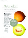 Netmelon 
