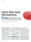 Flere fisk med blå mærker 