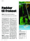 Fødder til frokost 