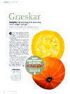 Græskar 