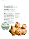 Jordskok