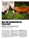 Her får korteletterne frisk luft 