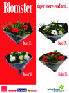 Springflower