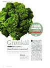 Grønkål 