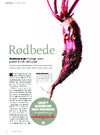 Rødbeder 