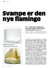 Svampe er den nye flamingo 