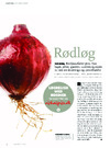 Rødløg 
