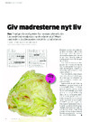 Giv madresterne nyt liv 