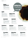 Kaffegrums 