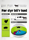 Før dyr bli'r kød 
