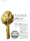Artiskok