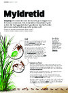 Myldretid 
