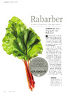 Rabarber 