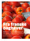 Fra franske baghaver 