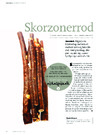 Skorzonerrod 