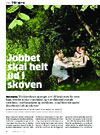 Jobbet skal helt ud i skoven 