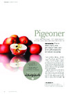 Pigeoner 