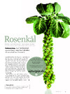 Rosenkål
