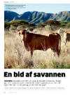 En bid af savannen