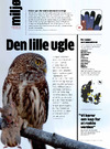 Den lille ugle