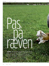 Pas på ræven