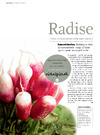 Radise