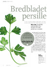 Bredbladet persille