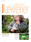 Sommer Lækkerier